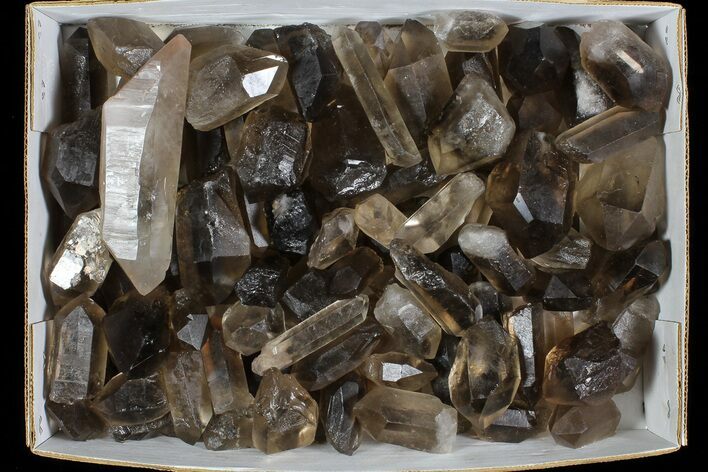 Lot: Lbs Smoky Quartz Crystals (-) - Brazil #77828